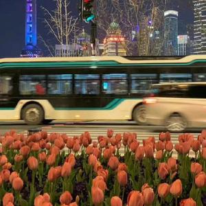 少妇㧒开粉嫩小泬影院
