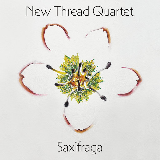 少妇㧒开粉嫩小泬影院
